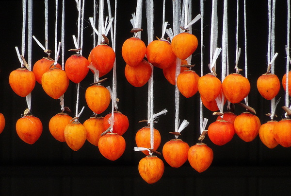 drying
                persimmons